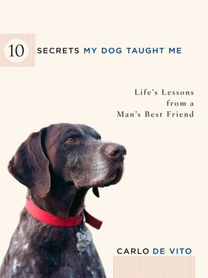 cover image of 10 Secrets My Dog Taught Me
